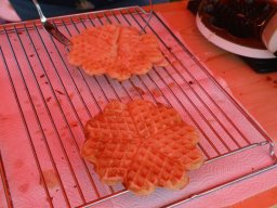 Gewerbeausstellung-2024_050_B06A9321